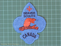 Beaver Scouts Canada
